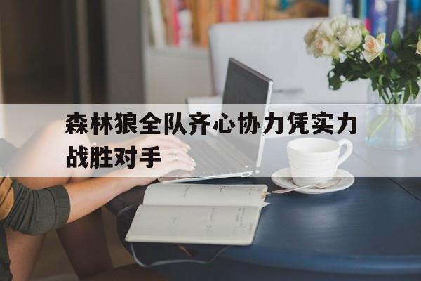 森林狼全队齐心协力凭实力战胜对手